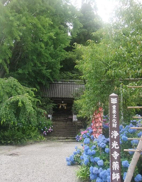 浄光寺薬師